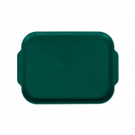 Поднос столовый 450х355 с ручками зеленый [YL-82216]