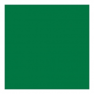 Салфетка бумажная зеленая, 40*40 см, материал Airlaid, 50 шт, Garcia de Pou