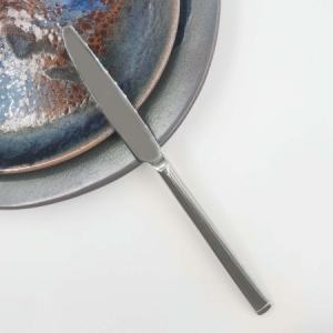 Нож десертный 20,1 см, нерж. 18/10, Accent /12/