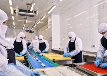 Фабрика-кухня X5 в Петербурге сможет производить 75 тыс. готовых блюд в сутки
